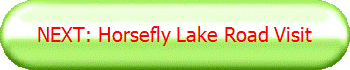 NEXT: Horsefly Lake Road Visit