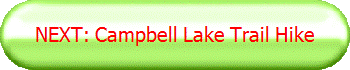 NEXT: Campbell Lake Trail Hike
