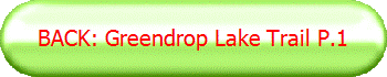 BACK: Greendrop Lake Trail P.1
