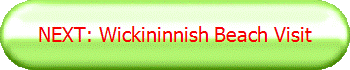 NEXT: Wickininnish Beach Visit
