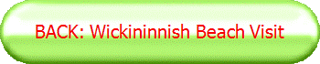 BACK: Wickininnish Beach Visit