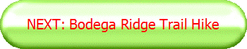 NEXT: Bodega Ridge Trail Hike