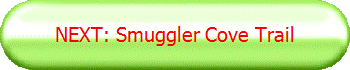 NEXT: Smuggler Cove Trail