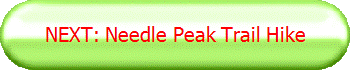 NEXT: Needle Peak Trail Hike