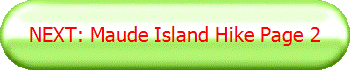 NEXT: Maude Island Hike Page 2